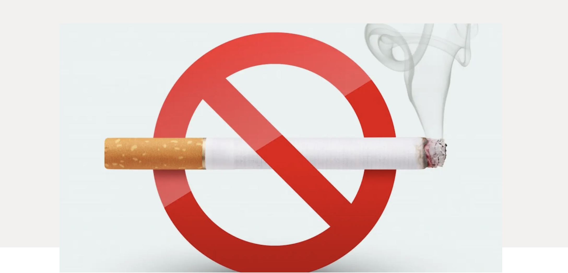 Scherm­Afbeelding 2023 03 28 Om 11.20.04