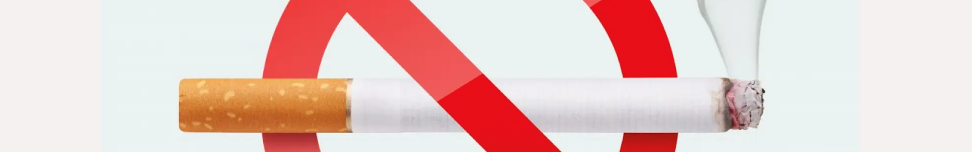 SchermAfbeelding 2023 03 28 Om 11.20.04